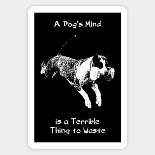 A Dog's Mind is a Terrible Thing to Waste Sticker